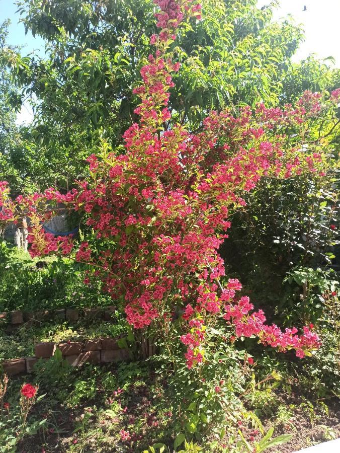Toktogul Ghesthouse 호텔 외부 사진